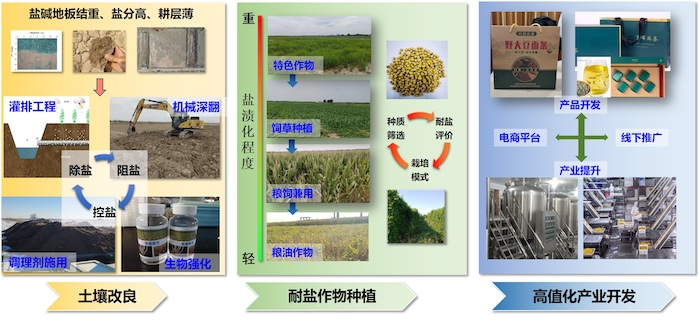 科技奖-模式图_副本.jpg
